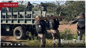 Aseguran madera de tala ilegal en Los Tuxtlas; investigan del¡tos ambientales