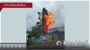 Provoca alarma incendio de palmera en campo deportivo de Potrero Nuevo, Atoyac