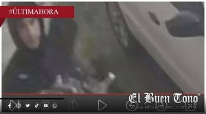 Roban negocio en Fortín durante la madrugada; sustraen equipo y herramientas