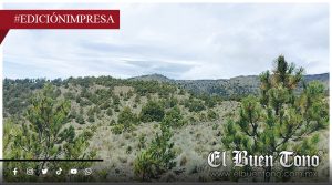 Pico de Orizaba bajo restauración; RESCATE DEL PULMÓN FORESTAL