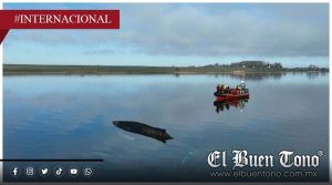 Buscan salvar a “Timmy”, la ballena atrapada en Alemania