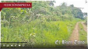 Dejan crαnɛo en Palo Alto; se desconoce si es de hombre o mujer