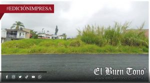 Vecinos exigen alinear un terreno