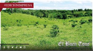 Agricultores acusan simulación ganadera; en la Sierra de Zongolica