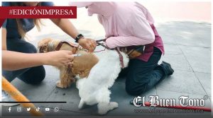 Refuerzan combate gusano barrenador; en Ixtaczoquitlán