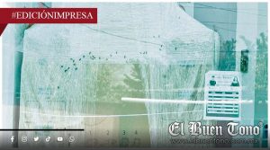 Enjambre paraliza al Banco Bienestar; en la sucursal de Cosolapa