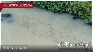 Contaminan el último río limpio; atraviesa la cabecera de Amatlán