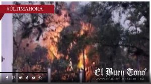 Rayo incendia palma durante tormenta en San Dimas