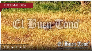 Hallan cuerpo de un hombre en la carretera Tinaja–Cd. Alemán, en Tres Valles
