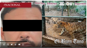 Capturan en Nuevo León a presunto líder del Cártel del Noroeste