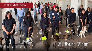 México refuerza controles sanitarios con binomios caninos rumbo al Mundial 2026