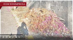 Exigen multar por ensuciar calles; autoridades de Fortín deben actuar