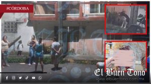 VIDEO|Incapacidad de autoridad municipal ya dejó varias mascotas mvertas y otras heridas de gr@vedad