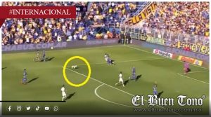 “Coco” interrumpe partido de fútbol y conquista a la afición en Argentina