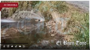 VIDEO|Fuga de agua en el Mercado de Abastos 2000 se agrava por negligencia de Hidrosistema y Manuel Alonso Cerezo