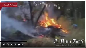 Moviliza incendio forestal a brigadistas en la reserva de San Juan del Monte