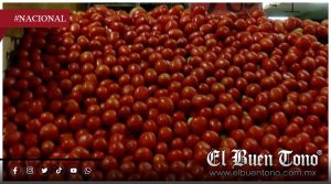 ¡Jitomate por las nubes¡: Intermediarios duplican precios y golpean el bolsillo del consumidor
