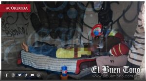 Se lesionada al caer accidentalmente en Las Gardenias