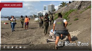 Resguardan 96 huevos de tortuga Lora en playa de Boca del Río
