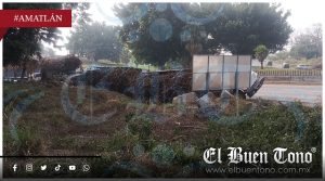 Se vuelca tráiler cañero en el Trébol de Rancho Trejo; carretera federal Córdoba-Veracruz