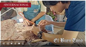 Descubren en Tailandia al “titán” más grande del sudeste asiático; medía 27 metros y pesaba como nueve elefantes