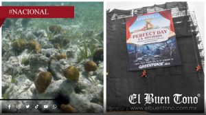 Frenan “Perfect Day” en Quintana Roo tras presión ambiental y millones de firmas