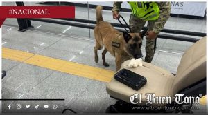 Detienen a hombre con c0caína oculta en silla de ruedas en el AICM
