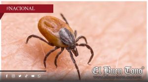 Casos de rickettsia en Gómez Palacio dejan un menor fαllɛcido