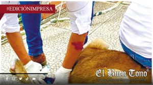 Detectan plaga en canes de Tezonapa; genera alerta sanitaria