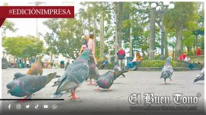 De las lluvias al calor intenso; adiós al respiro