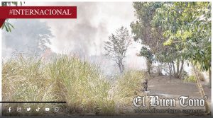 Fuego genera pánico vecinal; en terreno contiguo a El Pedregal