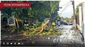 Turbonada sacude Córdoba; caída de ramas, fallas eléctricas y encharcamientos