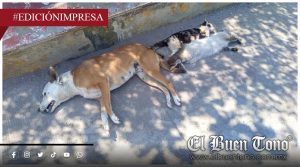 Impunidad permite envɛnenαmiɛntos; falta respuesta del Centro de Salud