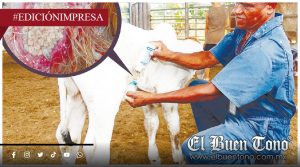 Barrenador sin control; emergencia sanitaria