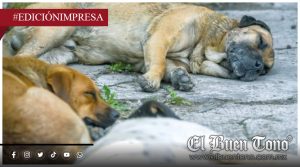 Viridiana genera colapso sanitario; en Ixhuatlán del Café