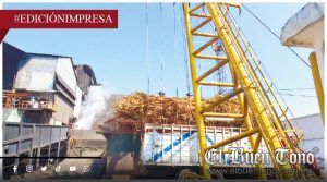 Ingenio eleva calidad de caña; Zafra 2025-2026 en recta final
