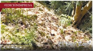 Nogales, fosa clandestina; pollos muertos en Paseo de los Ahuehuetes