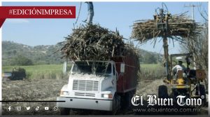 Precio de caña cae, flete sube; orilla a dependencia extranjera