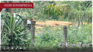 Ec0cidio devasta área de Río Seco; es en Amatlán de los Reyes