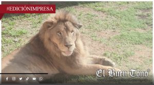 Leonel sufre negligencia; encerrado y aislado