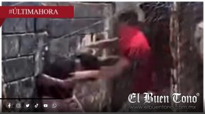 Violenta pelea en cancha de fútbol rápido desata críticas en Córdoba