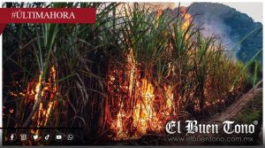 Muɛrɛ quɛmαdo campesino en quema de cañal en Paso del Macho