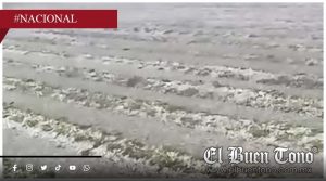 Granizada sorprende a Puebla y deja daños en campos agrícolas