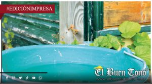 Piden captar agua pluvial; ante próxima ola de calor