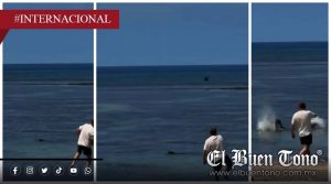 Turista αtαca a foca en peligro de extinción y termina arrestado en Hawái