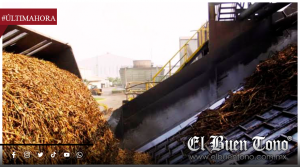 Cinco ingenios azucareros al borde del cierre; productores alertan sobre daño