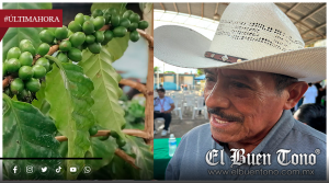 PRODUCTORES DE CAFÉ SIGUEN A MERCED DE PRECIOS INTERNACIONALES
