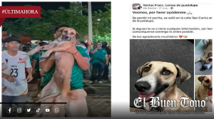 “No estaba perdida, estaba festejando”: perrita aparece en celebración de la Selección Mexicana