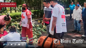 CAE RAMA DE ÁRBOL Y LESIONA A JOVEN EN LA ALAMEDA DE HUATUSCO