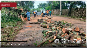 Cierran acceso a Fortín Viejo por caída de árbol y daños en cableado